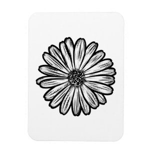 Schöne Daisy-Blume, Halftone Illustration Magnet