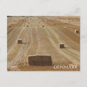 Schöne dänische Landschaftspostkarte! Postkarte