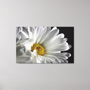 Schöne detaillierte Daisy Wall Leinwand