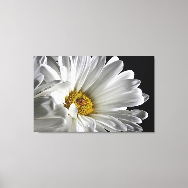 Schöne detaillierte Daisy Wall Leinwand (Vorderseite)