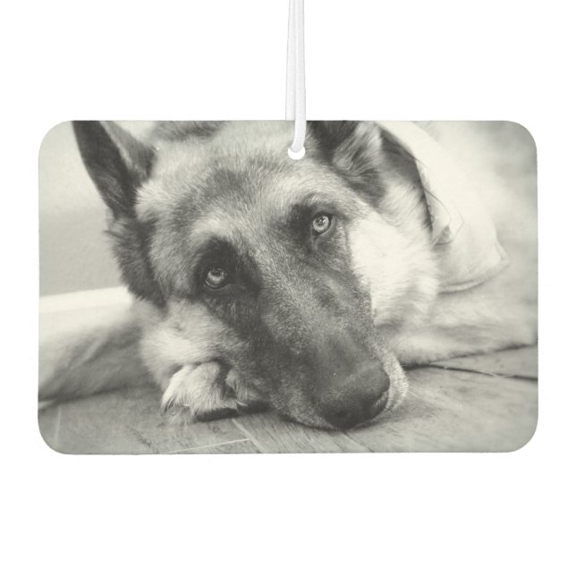 Schöne deutsche Shepherd Car Air Freshener Autolufterfrischer (Vorderseite)