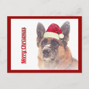 Schöne deutsche Shepherd Holiday Postcard Feiertagspostkarte