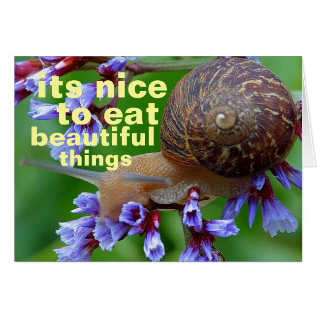 schöne Dinge (Vorderseite (Horizontal))