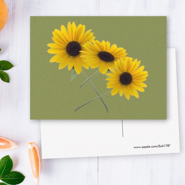 Schöne Dreifach-Sonnenblumen-Fotografie auf Green Postkarte (three sunflower photo front and blank back postcard)