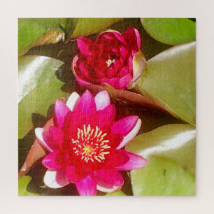 Schöne dunkelrosa Wasserlilie, Lotus Blossom Puzzle