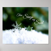 Schöne echte Schneeflocke dann Singt mein Soul Pos