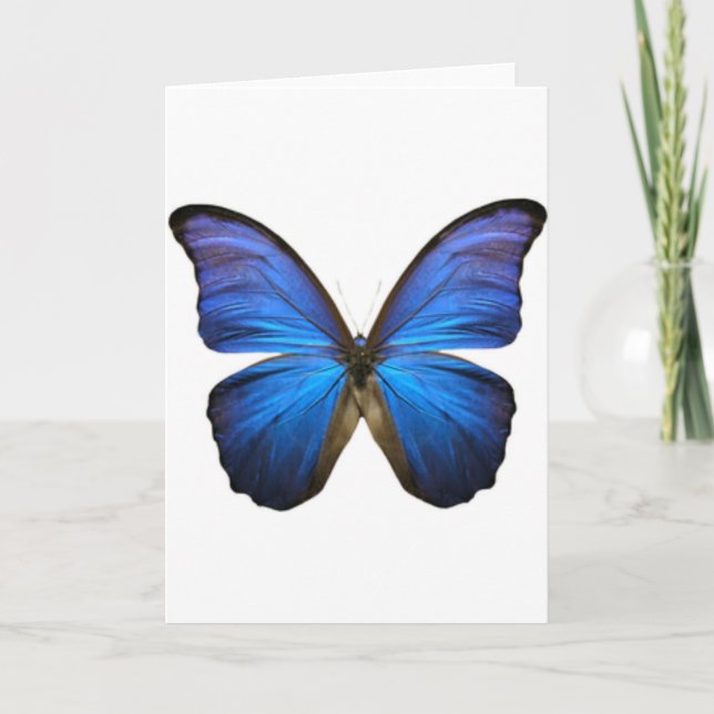 Schöne Electric Blue Butterfly Karte (Vorderseite)