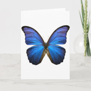Schöne Electric Blue Butterfly Karte