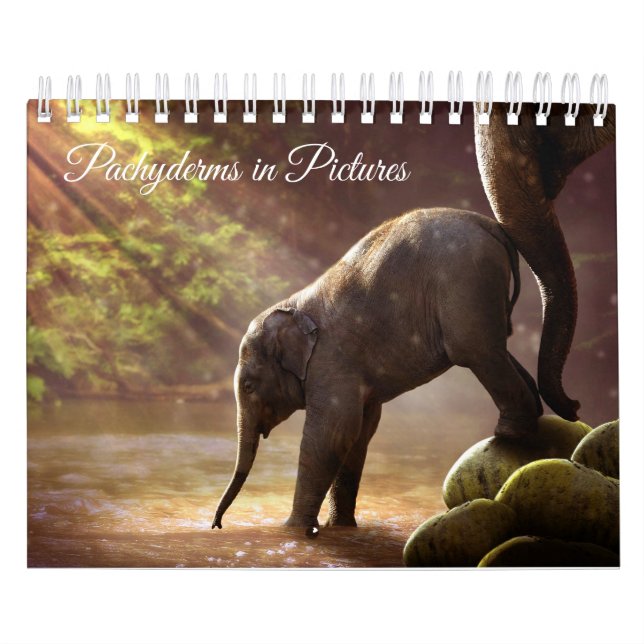 Schöne Elefant-Fotografien Kalender (Titelbild)