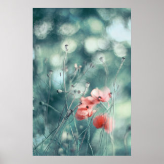 Schöne Elegante Abstrakt Dreamy Poppies Blume Poster