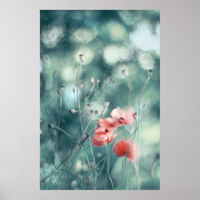 Schöne Elegante Abstrakt Dreamy Poppies Blume Poster (Vorne)