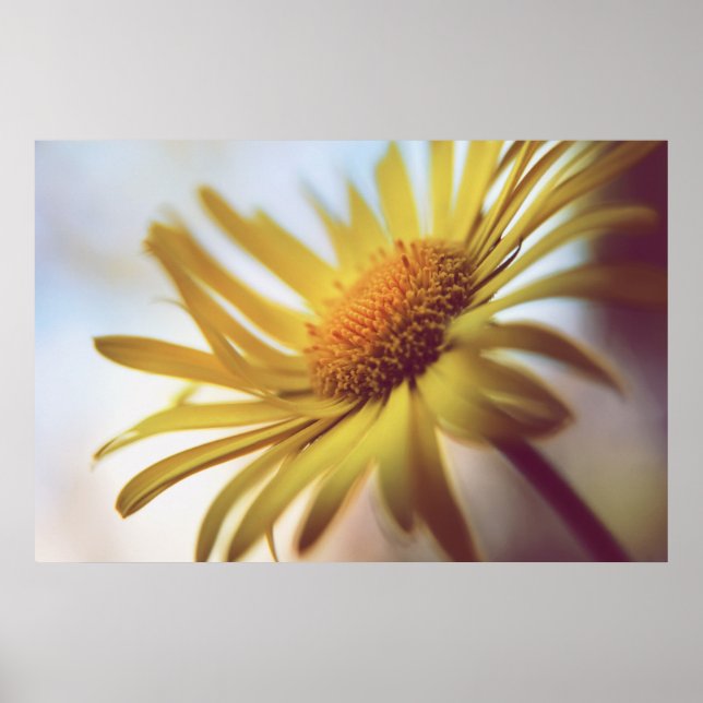 Schöne Elegante Abstrakt Gelbe Daisy Blume Poster (Vorne)