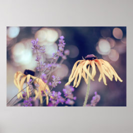 Schöne Elegante Dreamy Coneflowers Poster