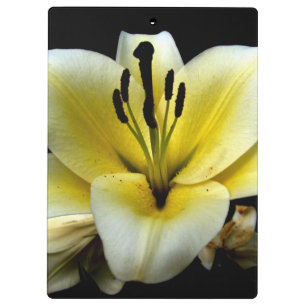 Schöne elegante gelbe auf schwarzer Blume Klemmbrett