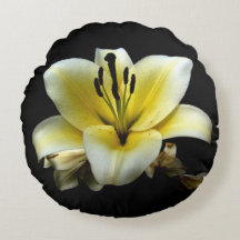 Schöne elegante gelbe auf schwarzer Blume