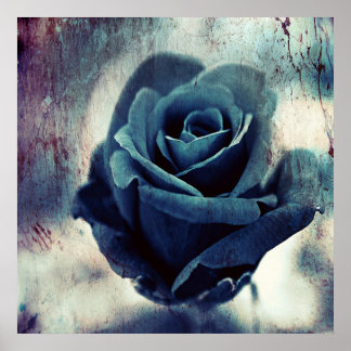 Schöne Elegante Magical Artistic Blue Rose Poster