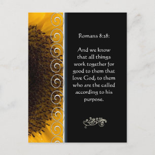 Schöne elegante orange Rose christliche Ermutigung Postkarte