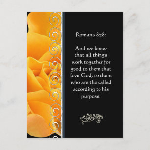 Schöne elegante orange Rose christliche Ermutigung Postkarte