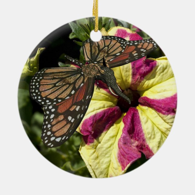 Schöne Elephant Butterfly Keramikornament (Hinten)