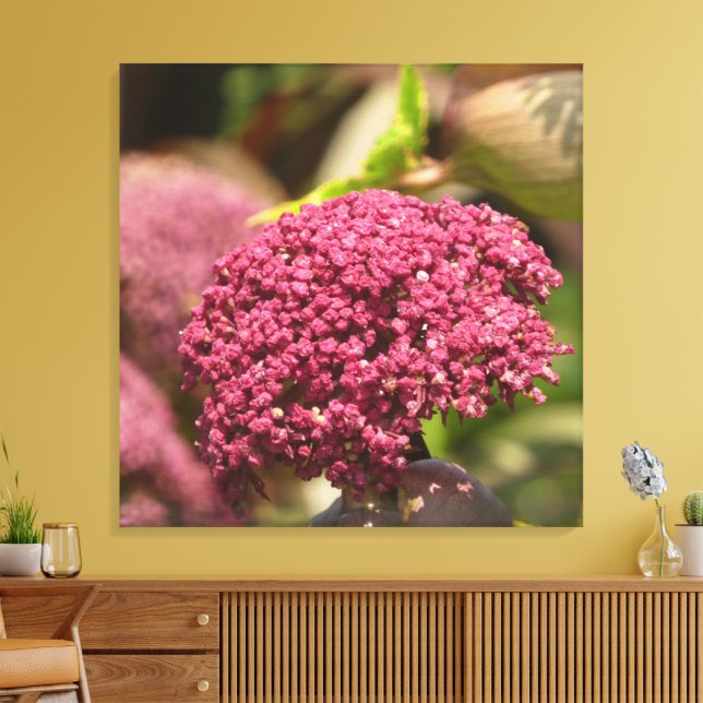 Schöne Engelwurz-Blume  Leinwanddruck (Insitu (Wohnzimmer))