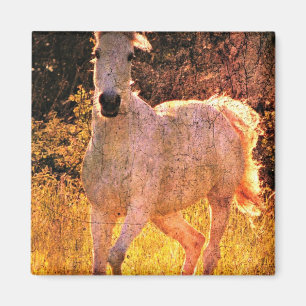 Schöne Equine Magnet