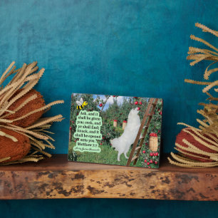 Schöne Eskie und Orchard-Schrift Matthew 7:7 Fotoplatte