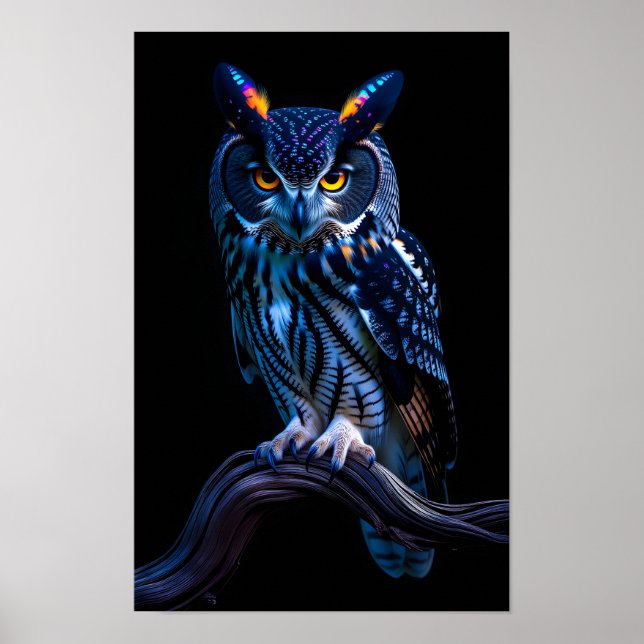 Schöne Eule  Poster (Vorne)