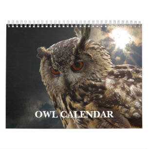 Schöne Eulenbilder und -bilder 2027 Kalender
