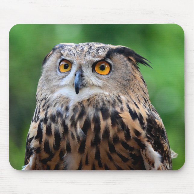 Schöne Eulenmauspad Mousepad (Vorne)