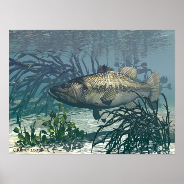 Schöne Fänge Poster (Vorne)