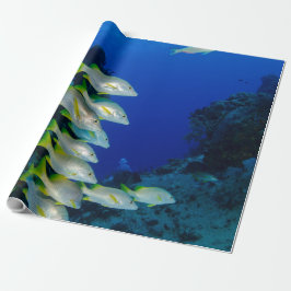 Schöne Farben | Bestes Geschenk für das Leben im M Geschenkpapier