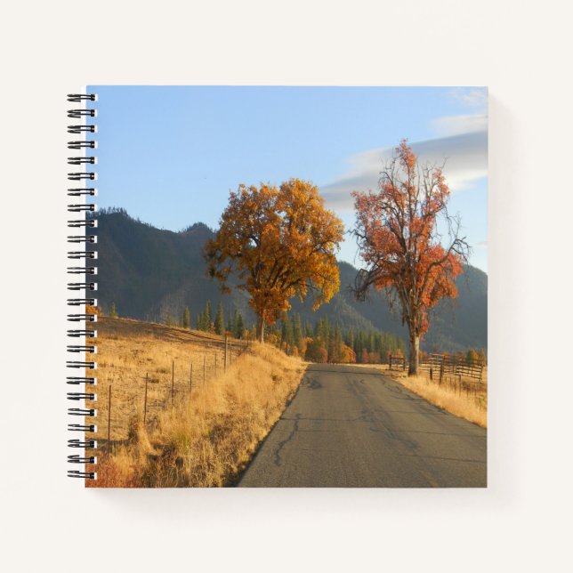 Schöne Farben des Herbstes.... Notizbuch (Vorderseite)