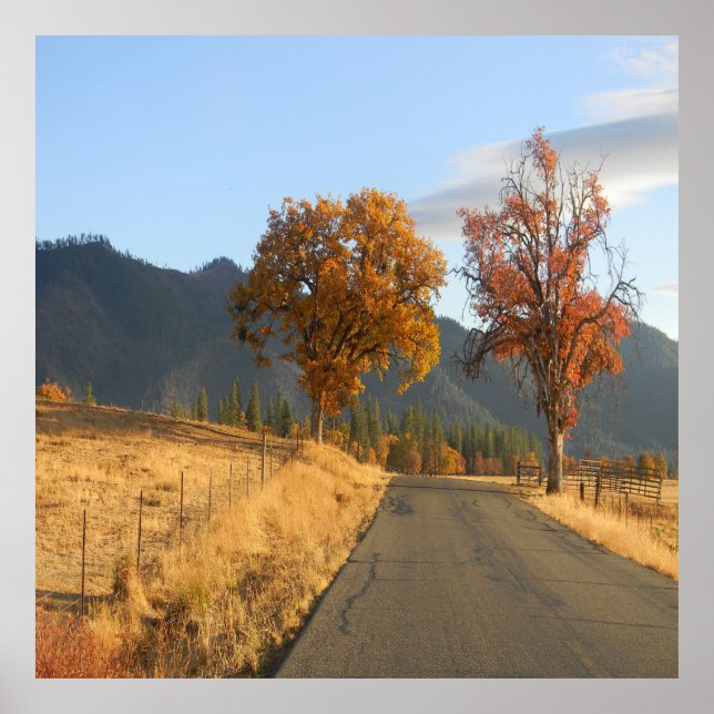 Schöne Farben im Herbst... Poster (Vorne)