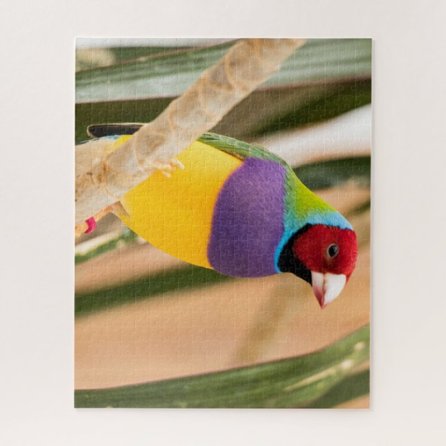 Schöne Farben Zebra Finch Bird Puzzle (Vertikal)