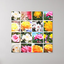 Schöne, farbenfrohe Blume, rosa, gelbe Rose Leinwanddruck