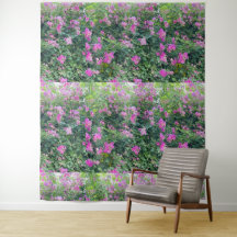 Schöne farbenfrohe Blume