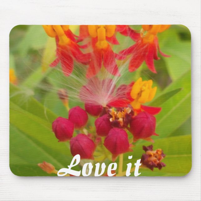 Schöne, farbenfrohe Blüte mit Milkweed Art Printin Mousepad (Vorne)