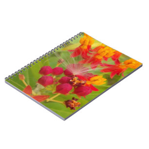 Schöne, farbenfrohe Blüte mit Milkweed Art Printin Notizblock