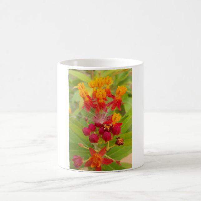 Schöne, farbenfrohe Blüte mit Milkweed Art Printin Tasse (Mittel)