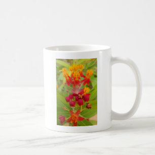 Schöne, farbenfrohe Blüte mit Milkweed Art Printin Tasse