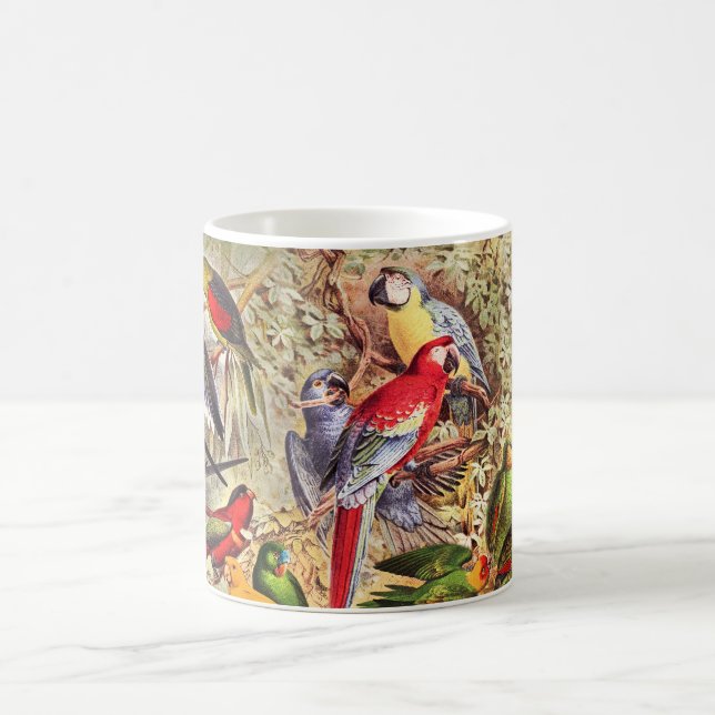 Schöne, farbenfrohe tropische Vogelparrots Kaffeetasse (Mittel)