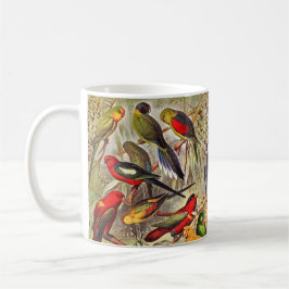 Schöne, farbenfrohe tropische Vogelparrots Kaffeetasse