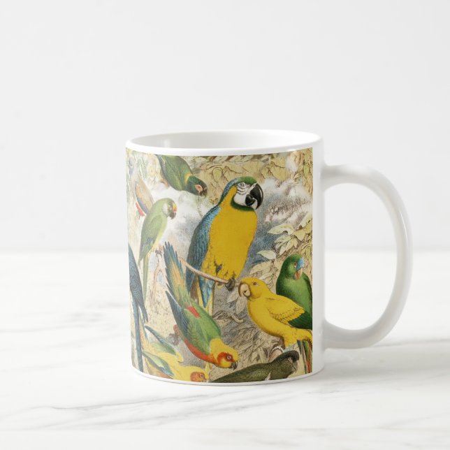 Schöne, farbenfrohe tropische Vogelparrots Kaffeetasse (Rechts)