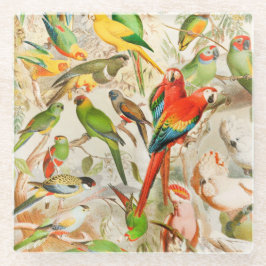 Schöne farbenfrohe Vintage tropische Vogelarten Glasuntersetzer