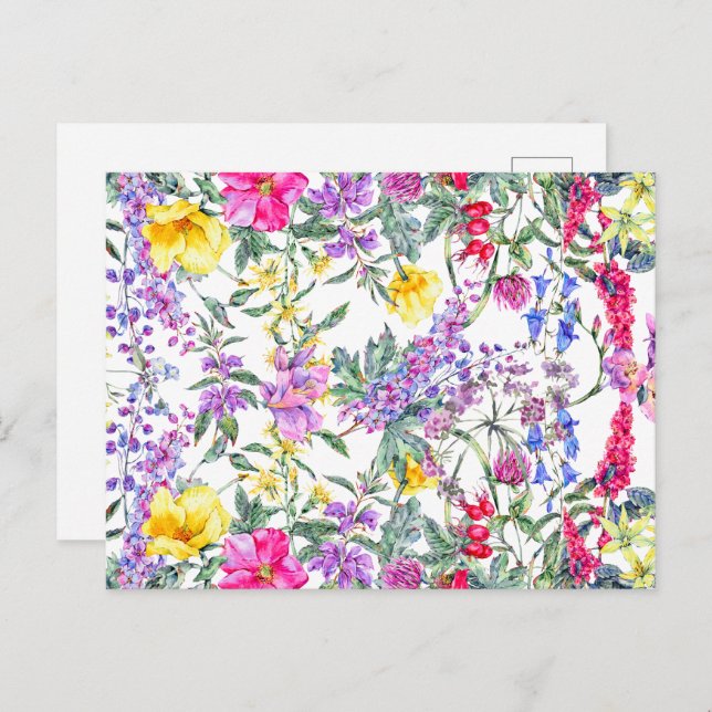 Schöne, farbenfrohe Wildblumen Postkarte (Vorne/Hinten)