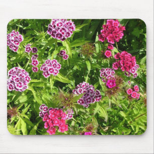 schöne farbige Blumen, Nelke Mousepad