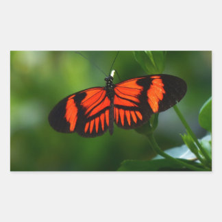 Schöne, feine Rot- und Schwarzschmetterling Rechteckiger Aufkleber