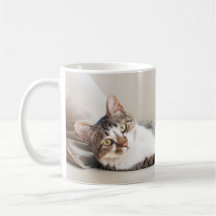 Schöne Feline Friend Cat Lovers' Foto Tasse