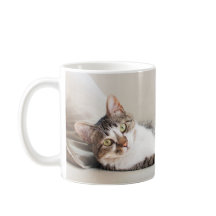 Schöne Feline Friend Cat Lovers' Foto Tasse