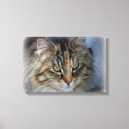 Schöne Feral Cat Portrait Canvas Print Leinwanddruck